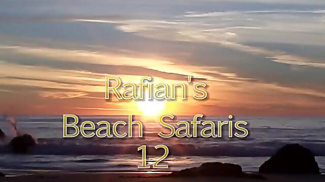 Rafian Beach Safaris # 12